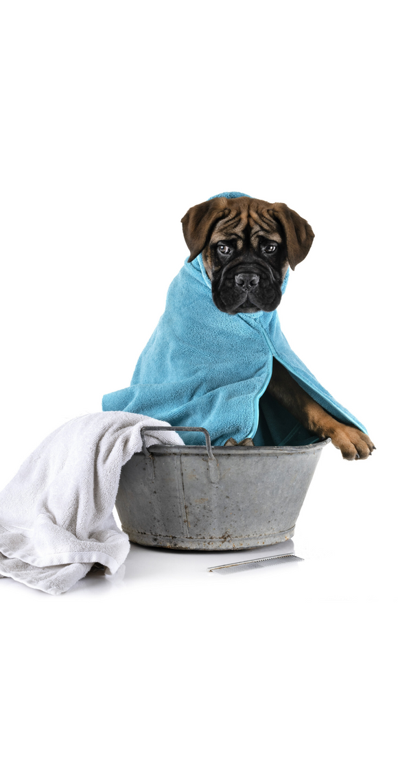 Best friend dog clearance shampoo